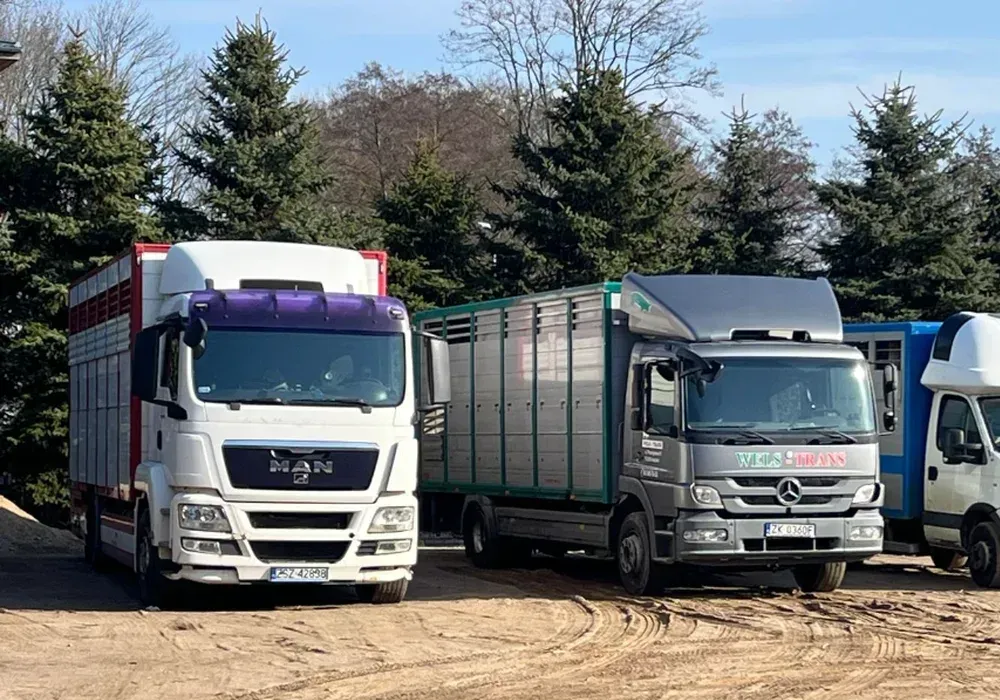 Flota trzech pojazdów do transportu żywca - Logos Barwice, zachodniopomorskie